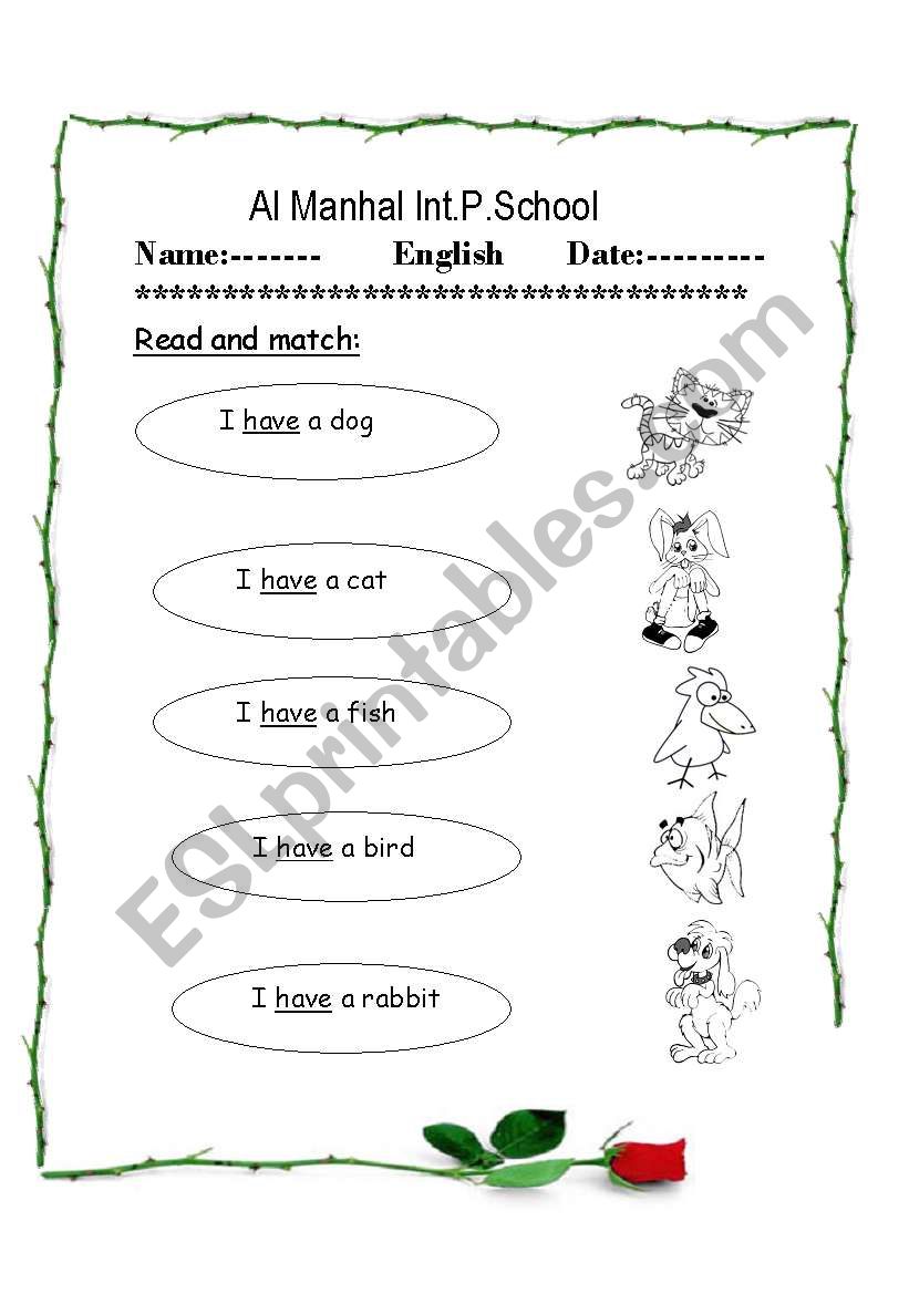 verb have worksheet