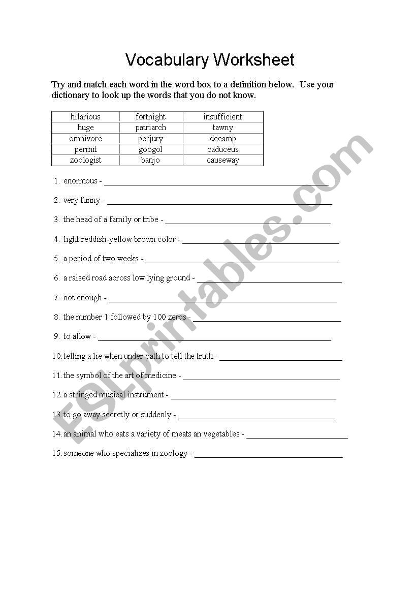 vocubulary  worksheet