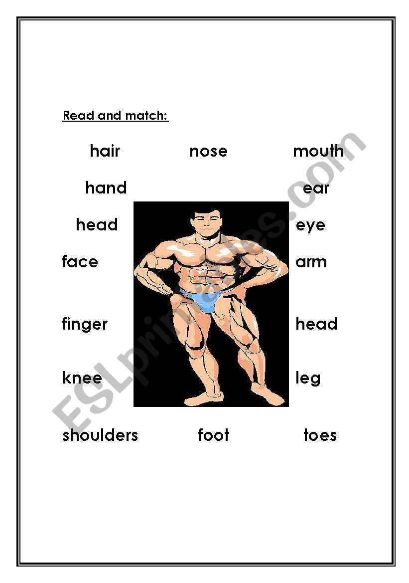 body worksheet