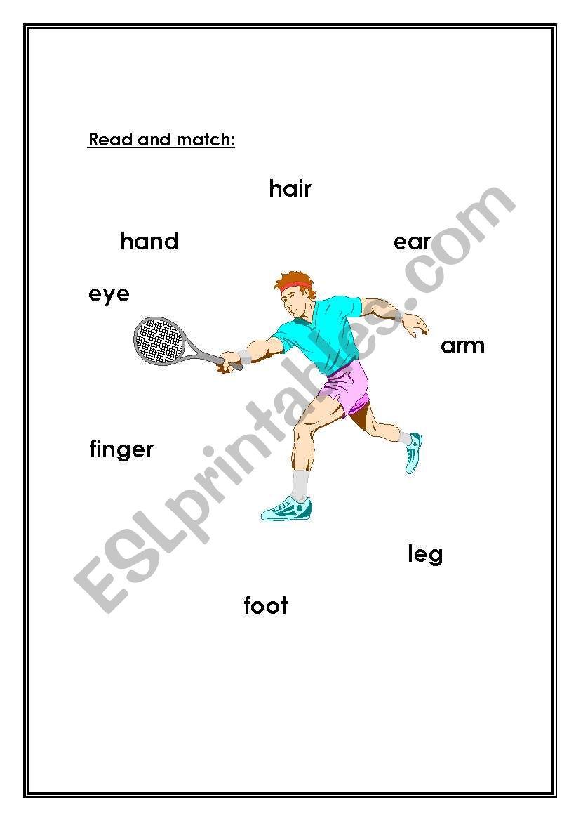 body worksheet