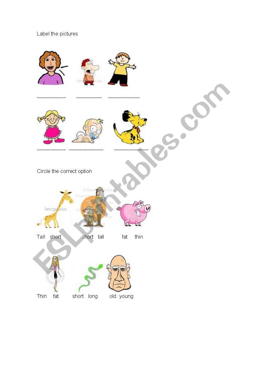 Adjectives worksheet