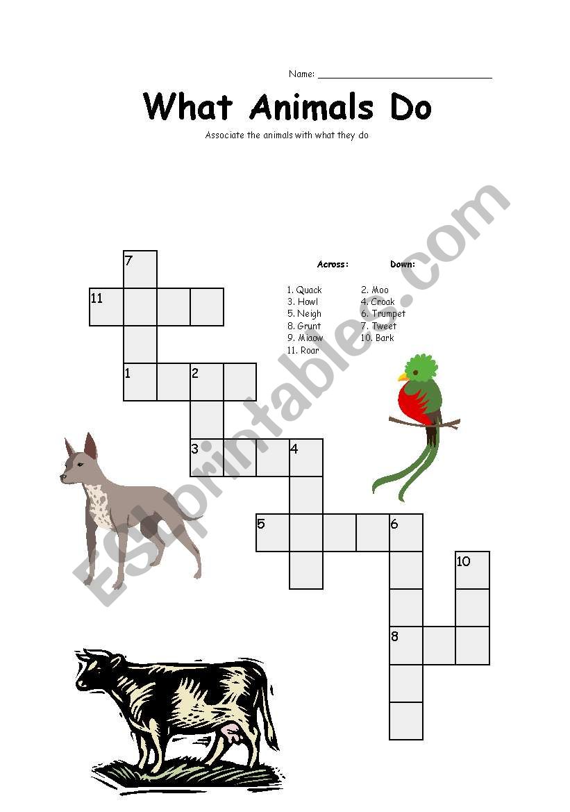 What Animals Do worksheet