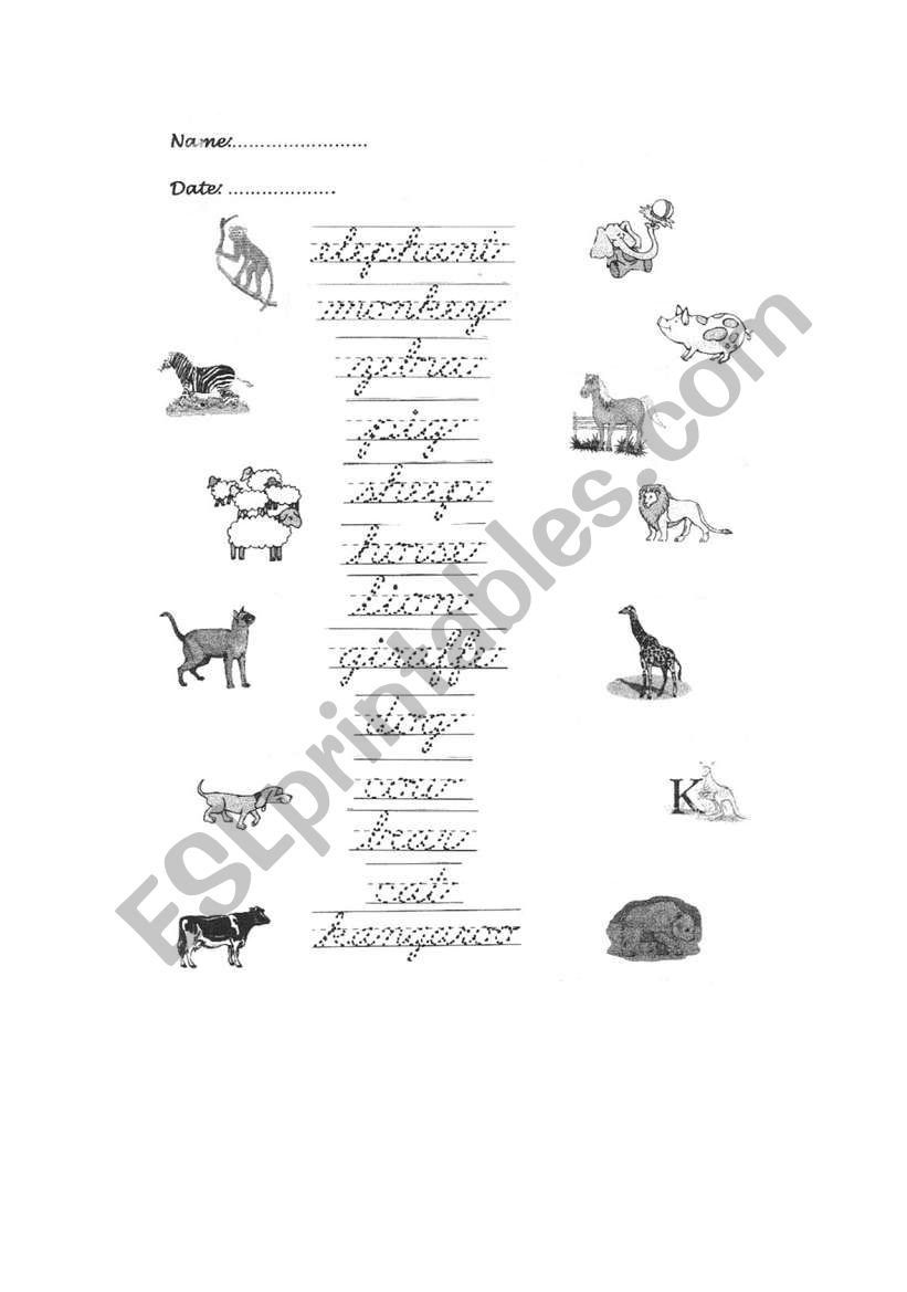 spaguetty animals worksheet