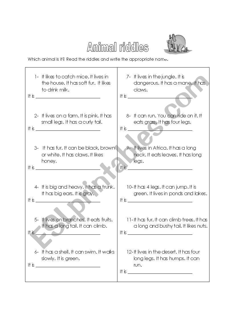 Animal riddles worksheet