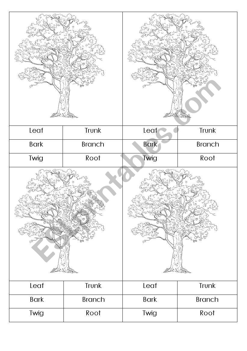 Parts of tree worksheet
