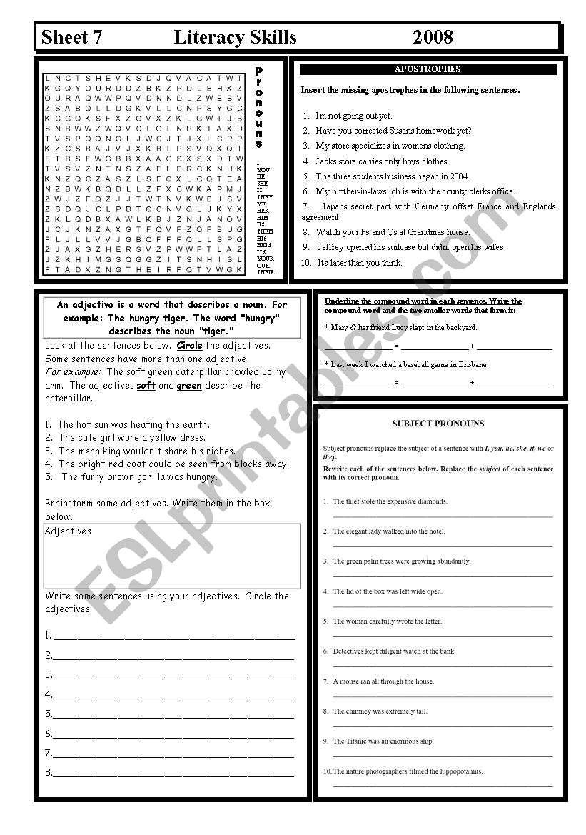 Literacy Skills worksheet