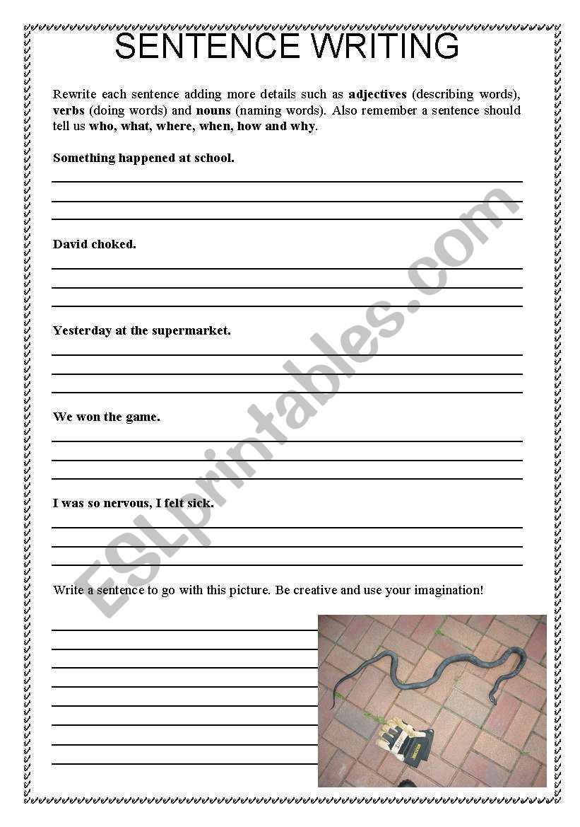 Sentence Writing worksheet