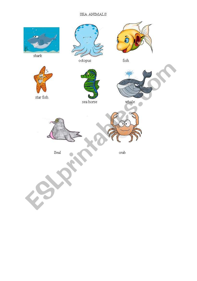 sea animals worksheet