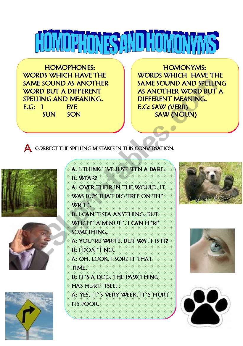  HOMOPHONES AND HOMONYMS worksheet