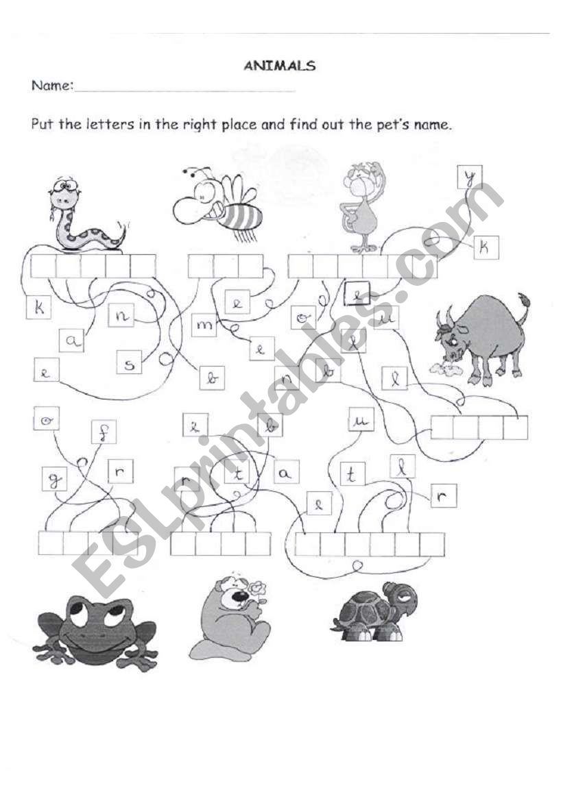 Animals worksheet