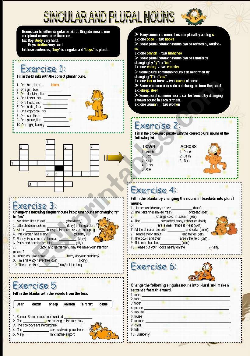 Singular and  plural nouns worksheet