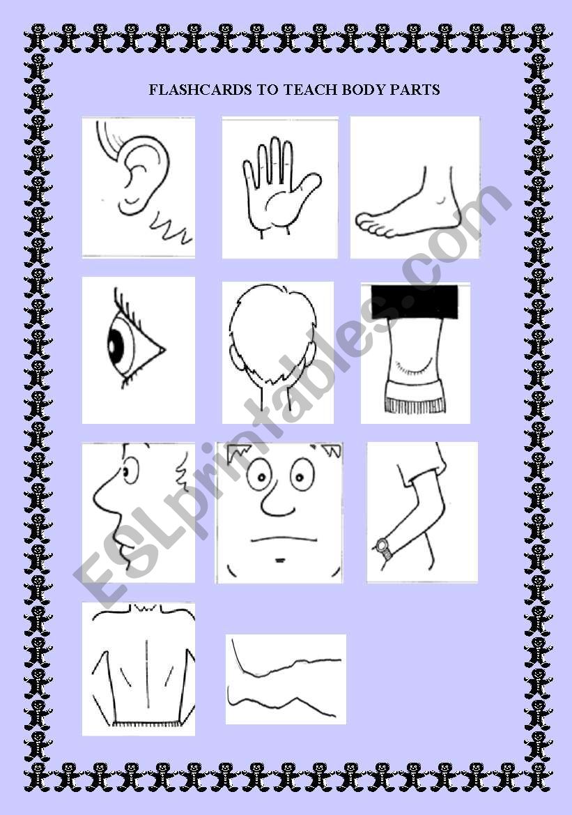 Flashcards and exercises to teach body parts