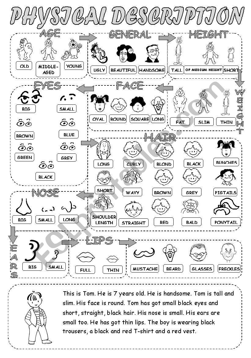 Physical description worksheet