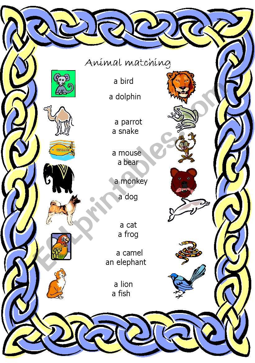 animal matching worksheet