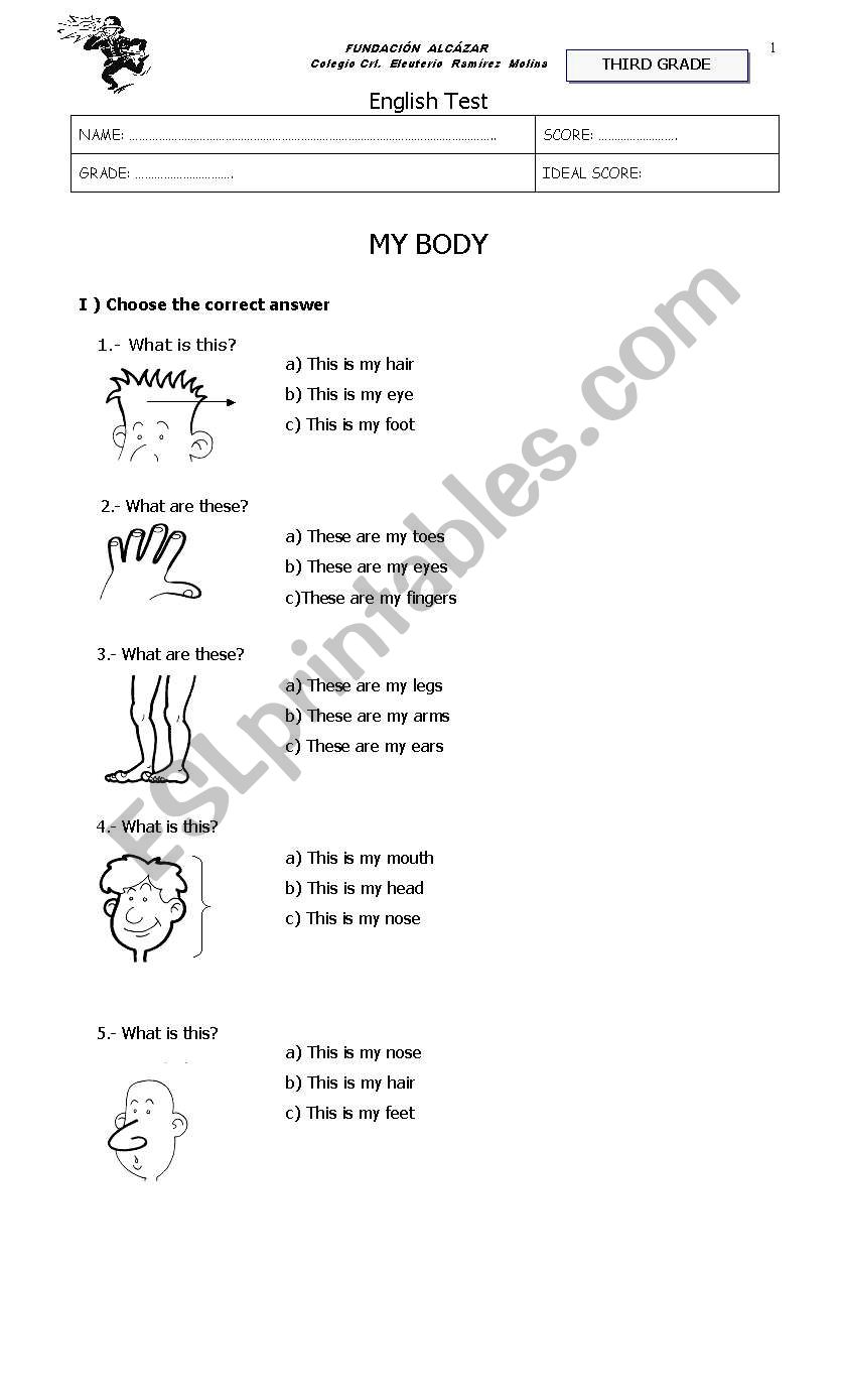 My body worksheet