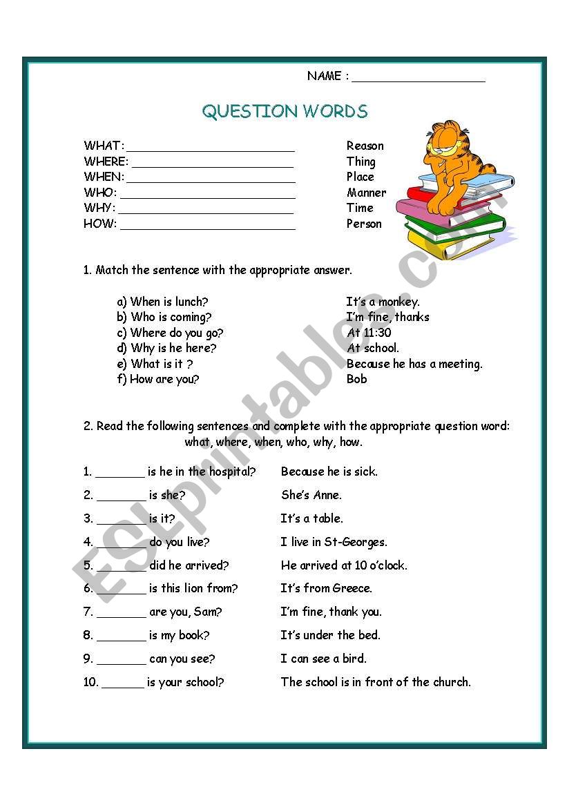 question words worksheet