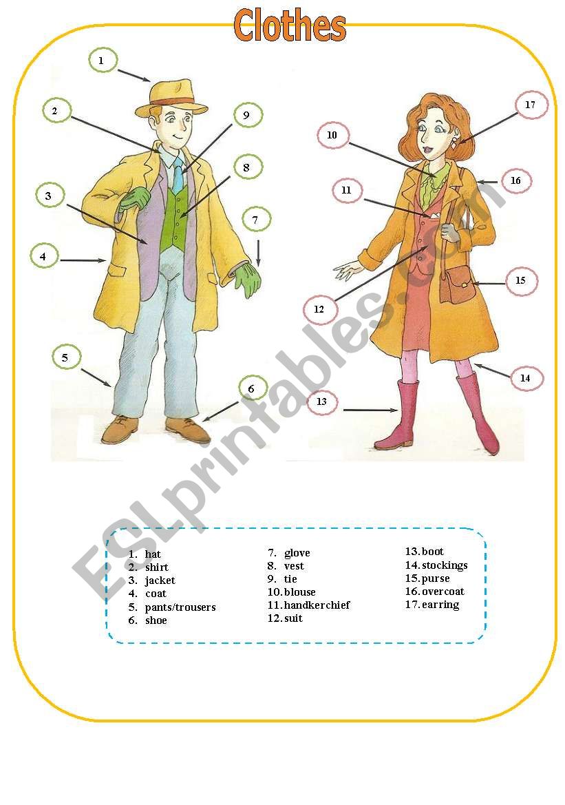 clothes worksheet