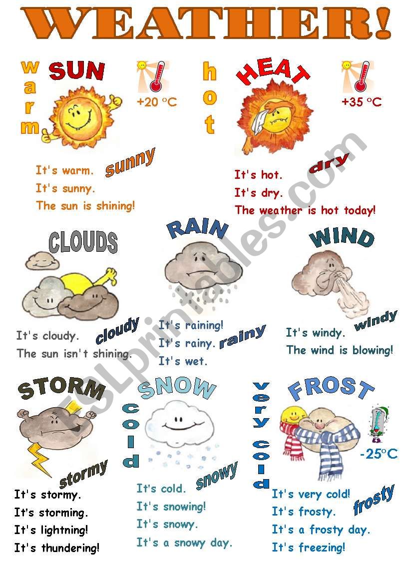 WEATHER! - CLASSROOM POSTER ( COLOR and B & W VERSIONS IN ONE WS!)