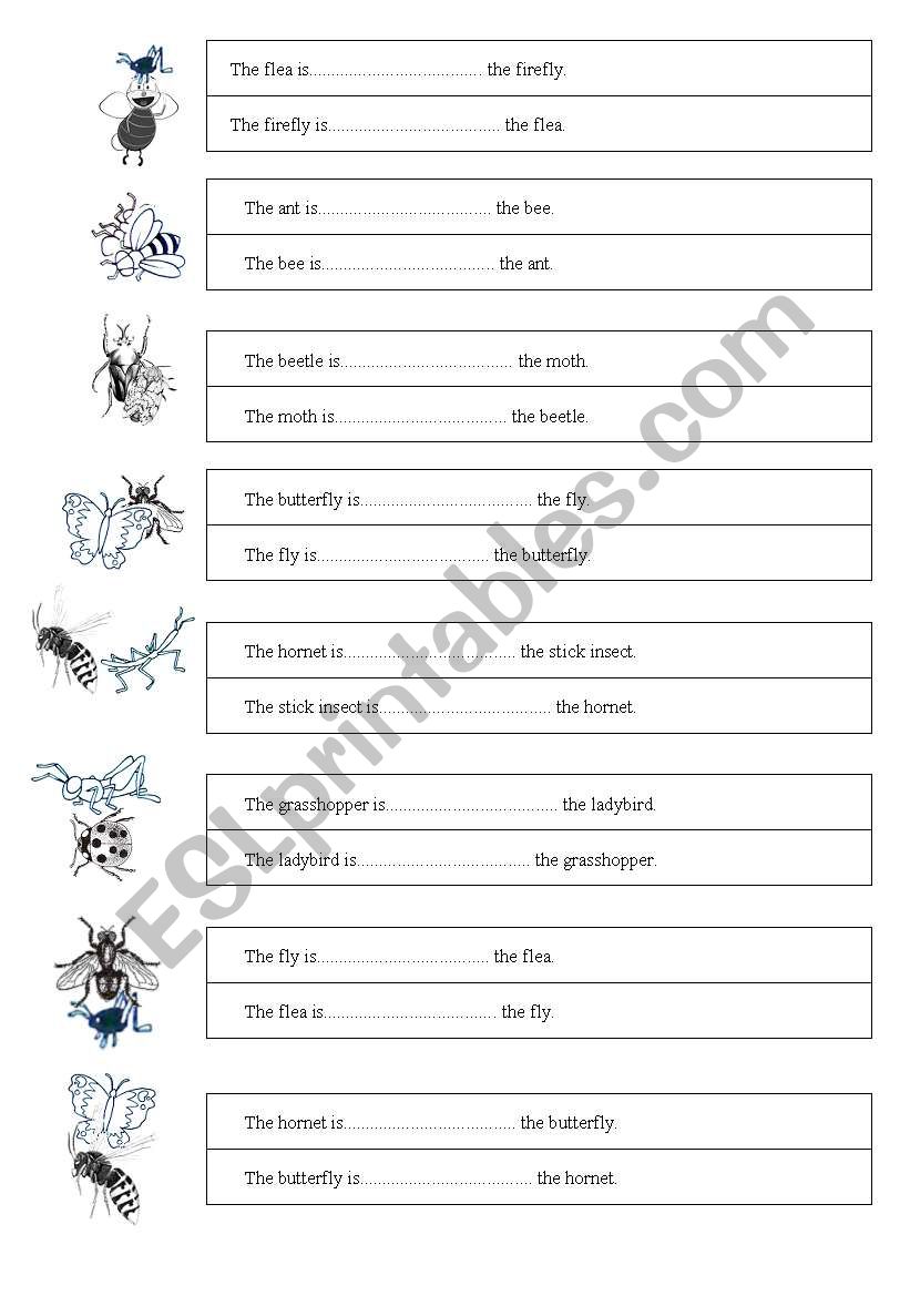 Prepositions of place - THE BUGS