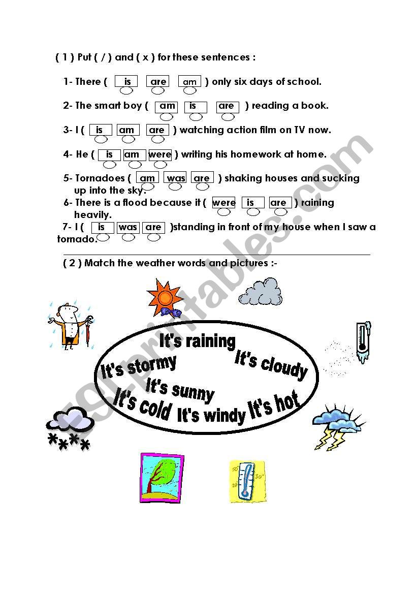 grammar and types of weather worksheet