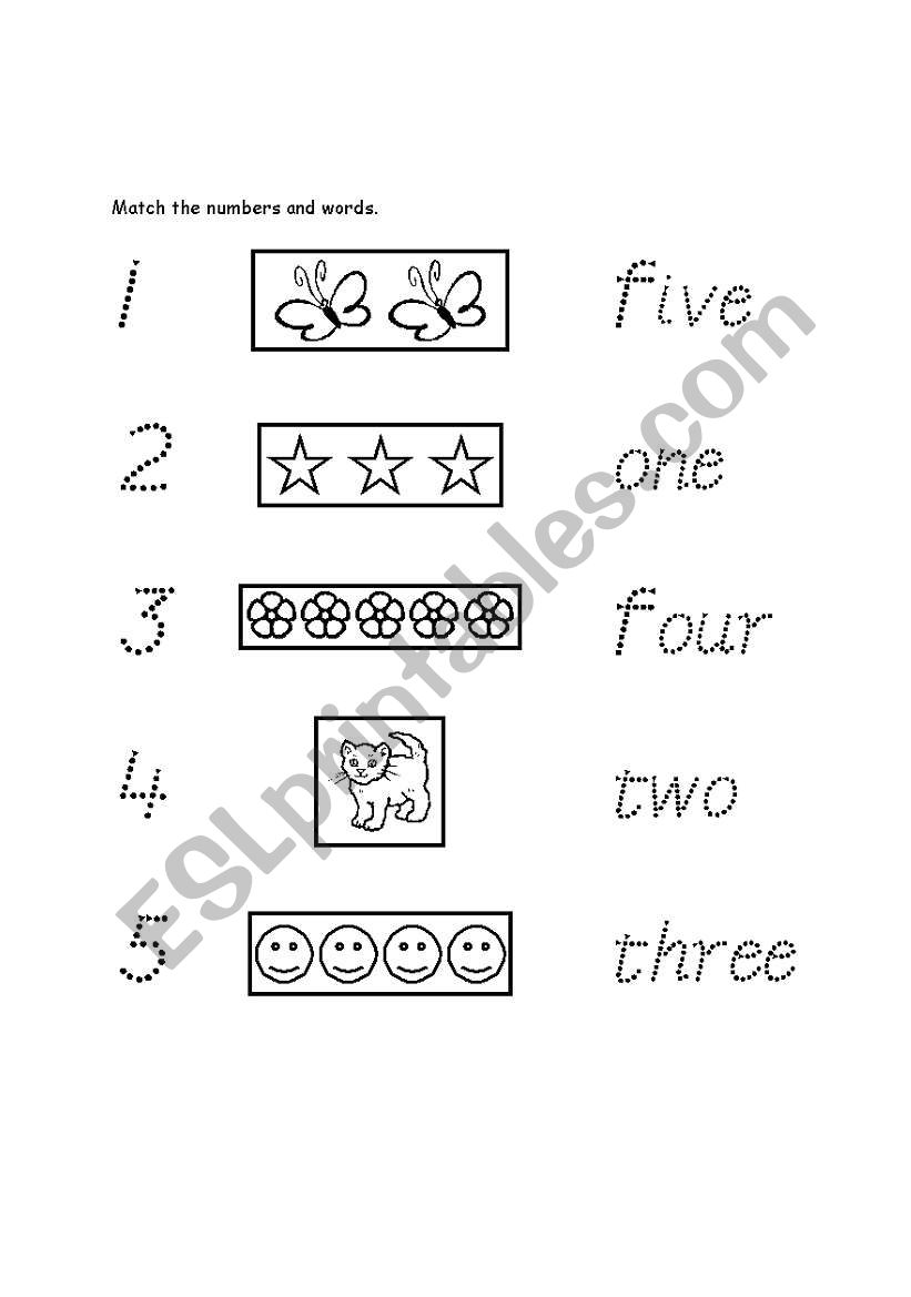 numbers and words worksheet