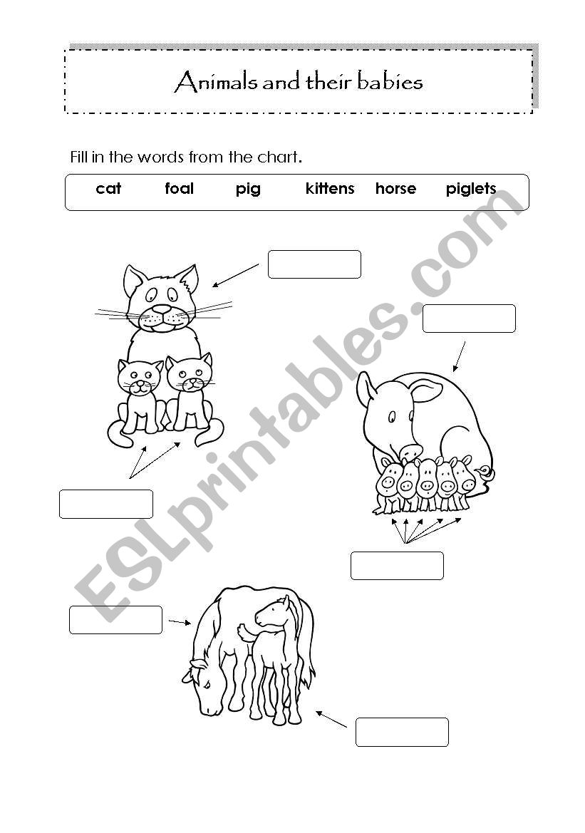 Animals and their babies worksheet