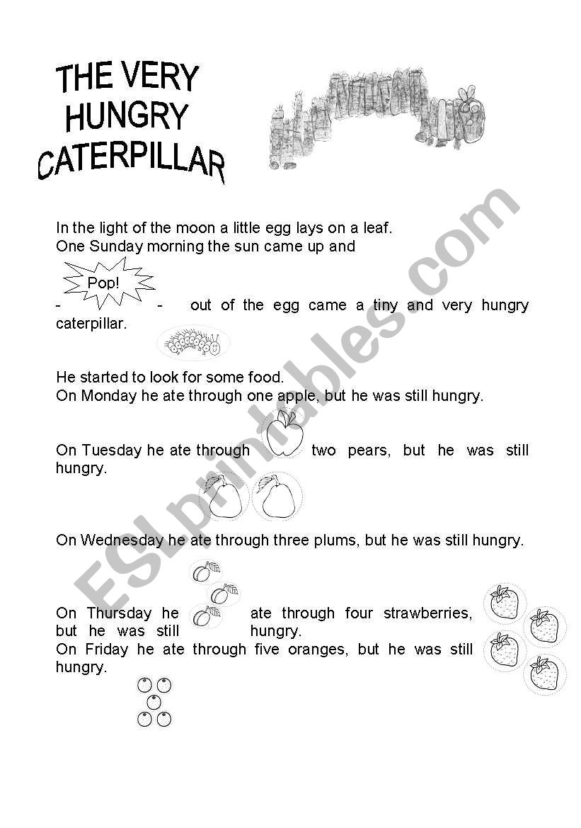 the very hungry caterpillar worksheet