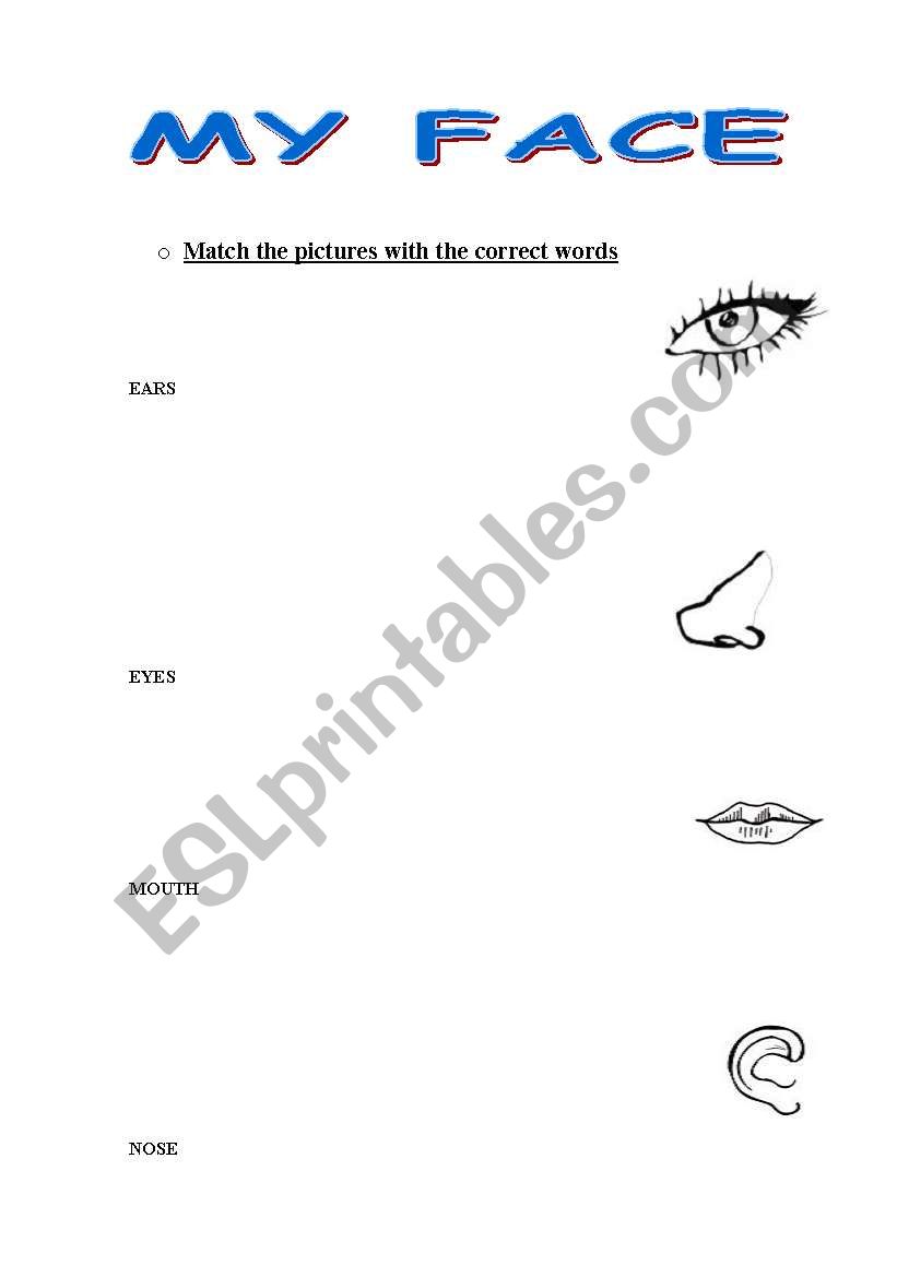 my face worksheet