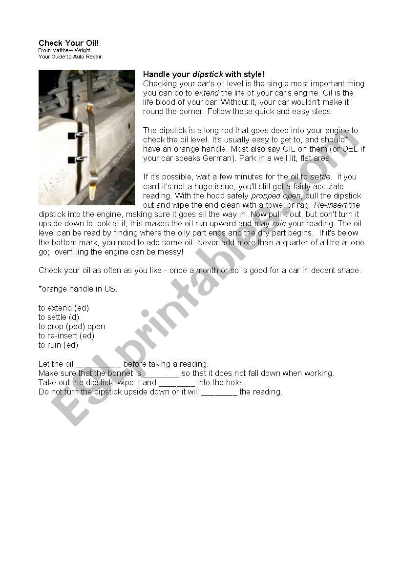Dipstick Instructions worksheet