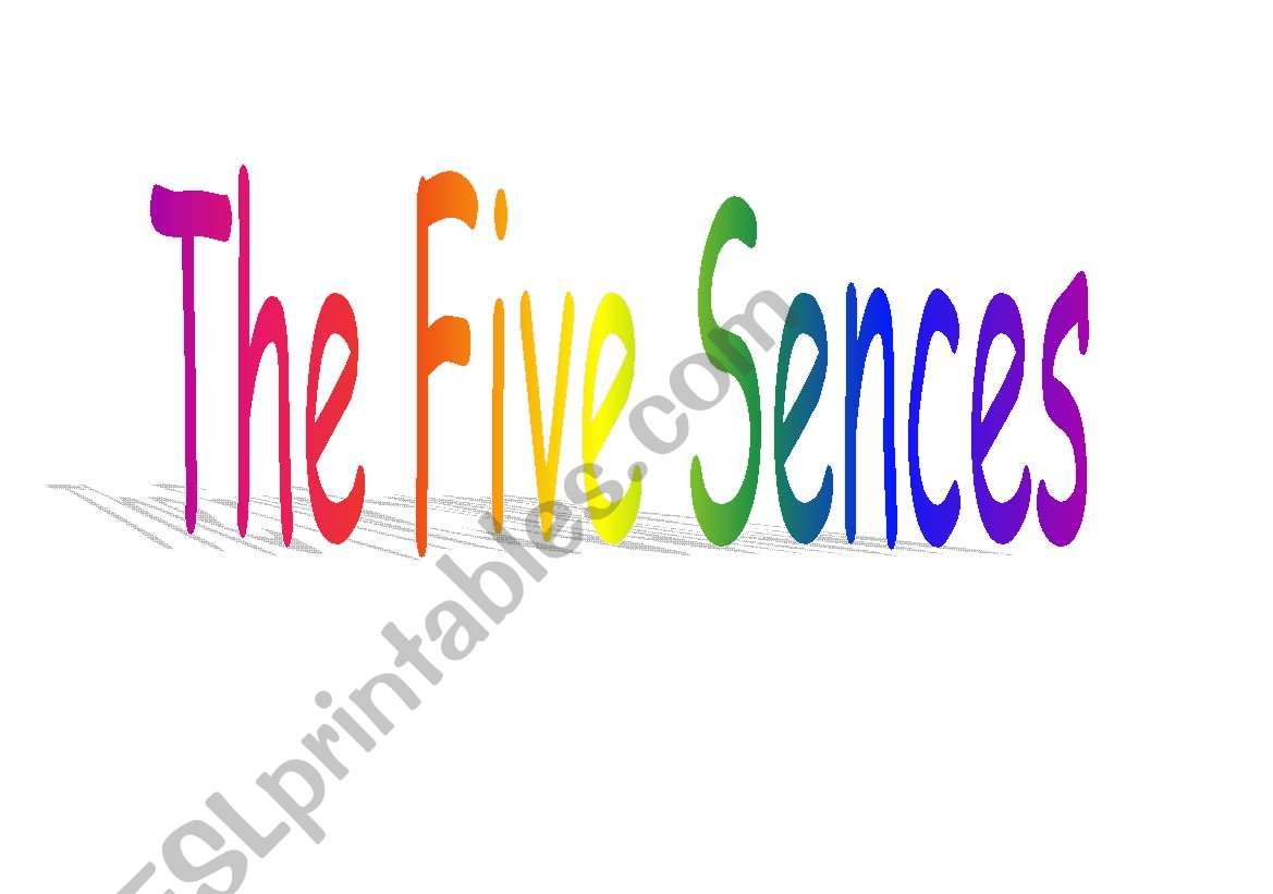 The five sences worksheet