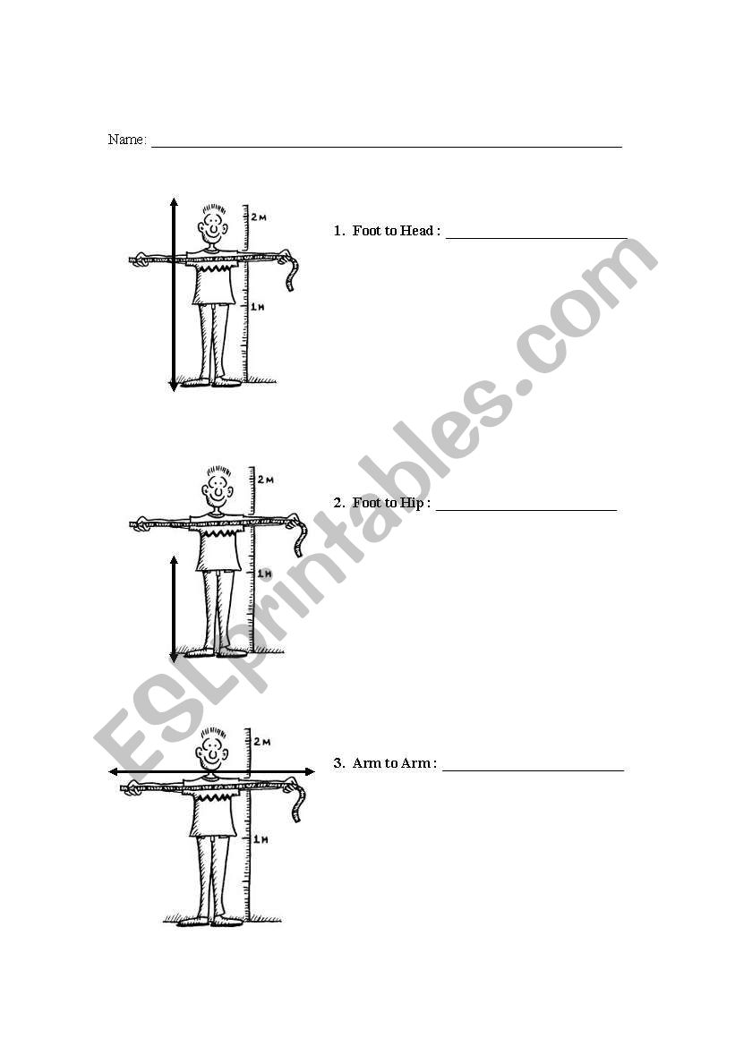 Body parts and measurement worksheet