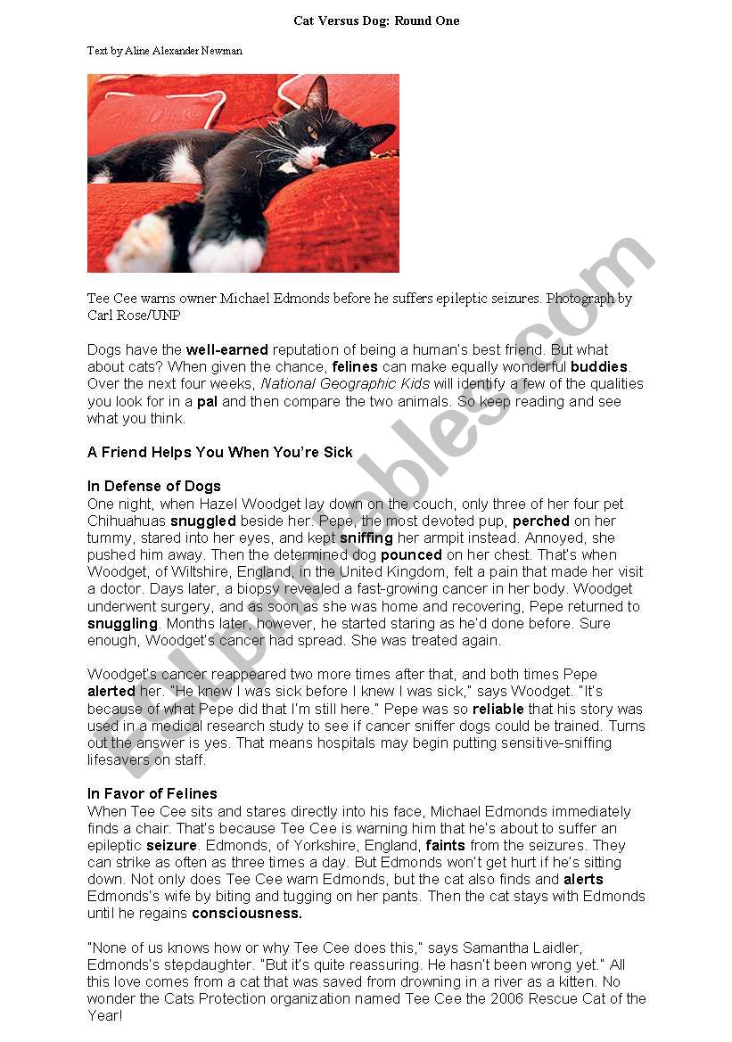 cats and dogs worksheet