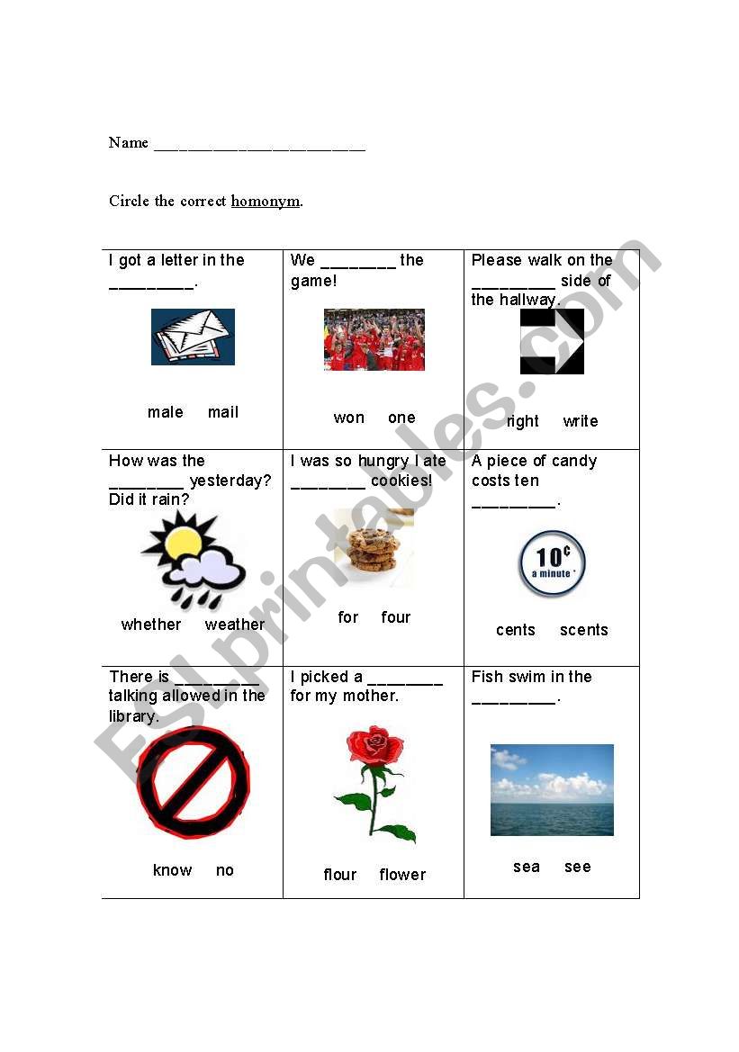 Homophones worksheet