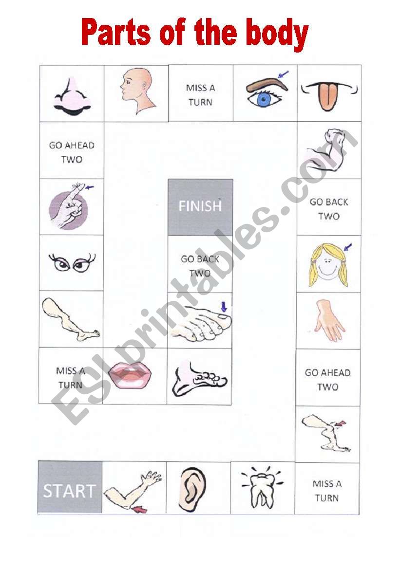 body worksheet