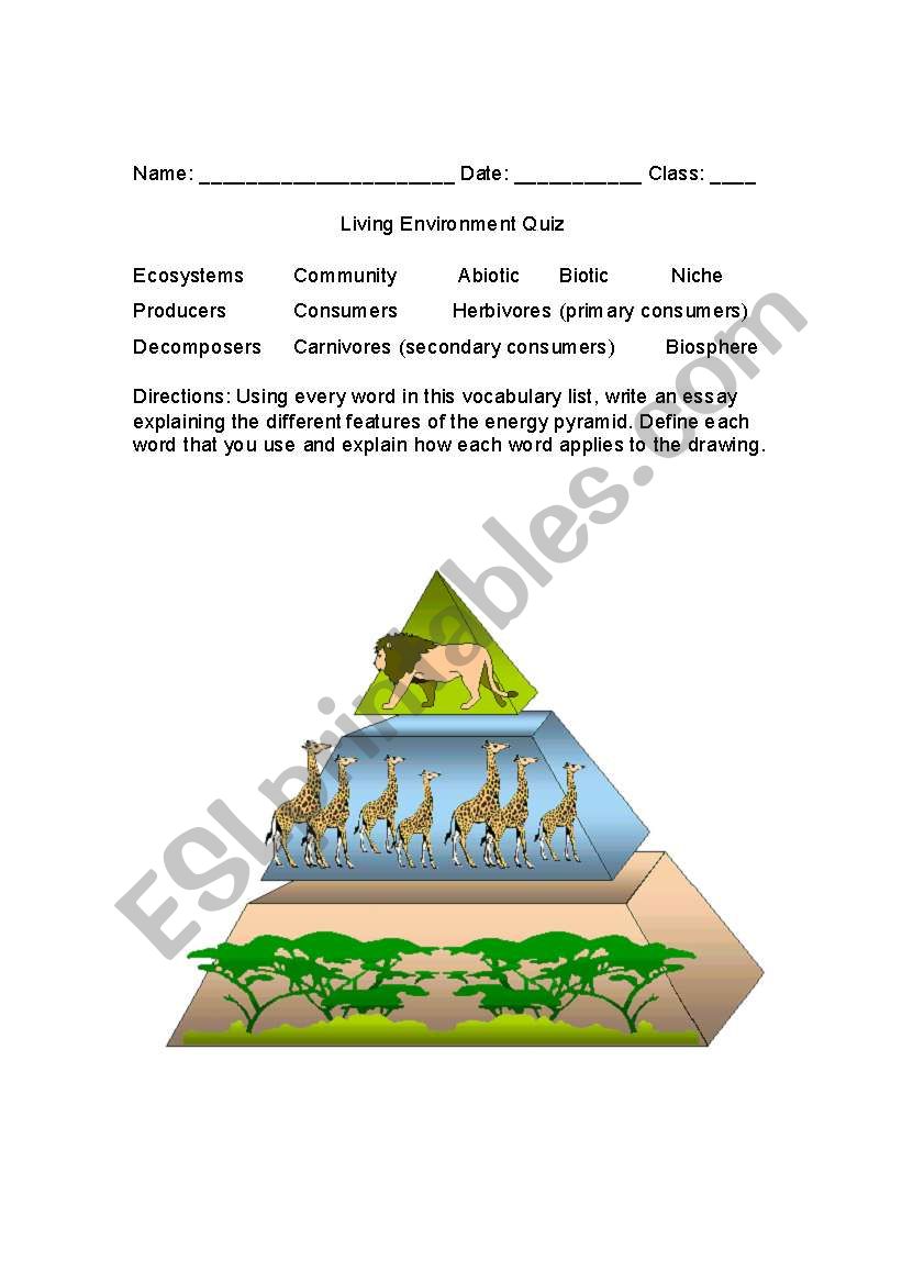 Environment quiz worksheet