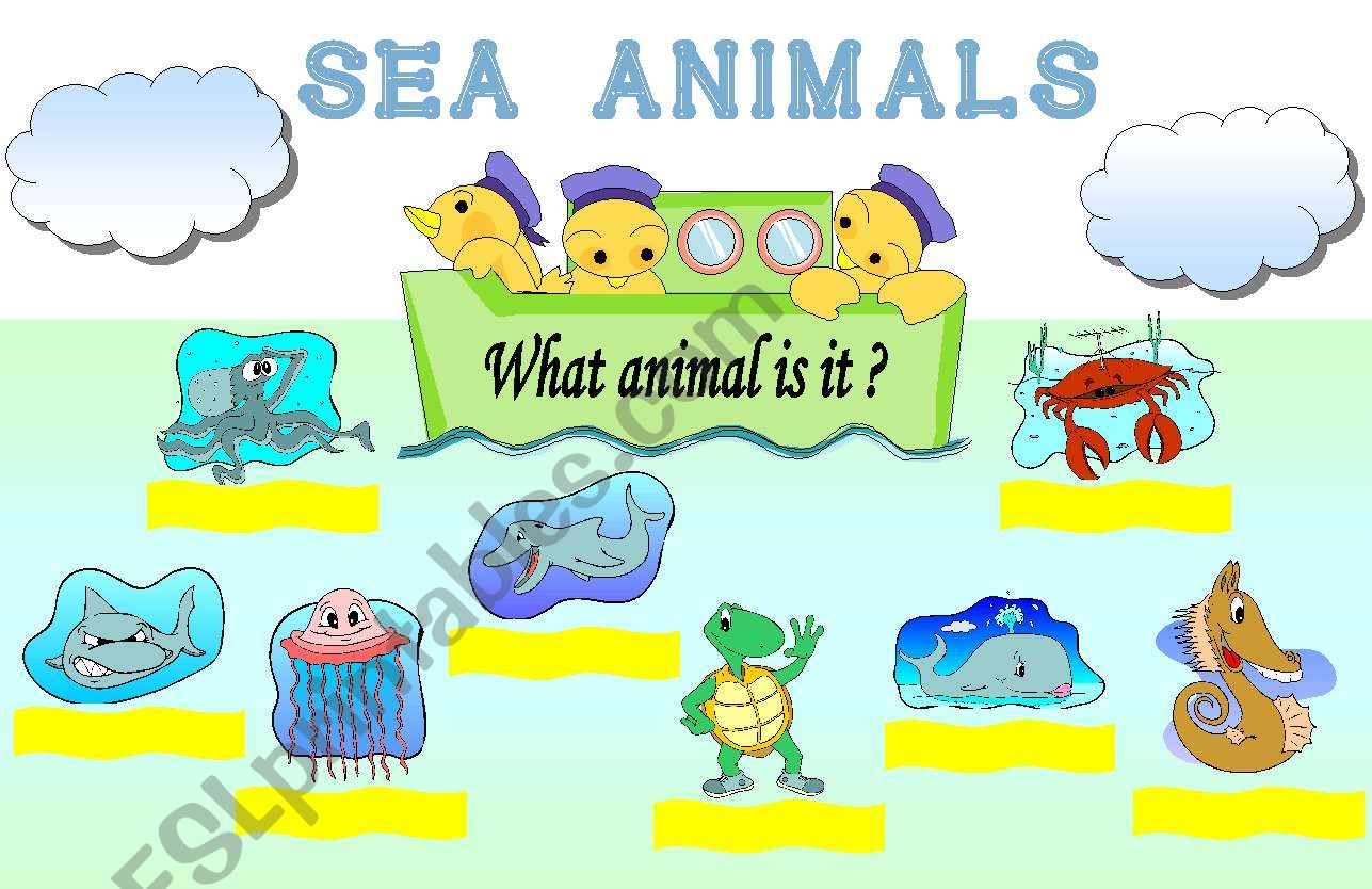 Sea animals worksheet