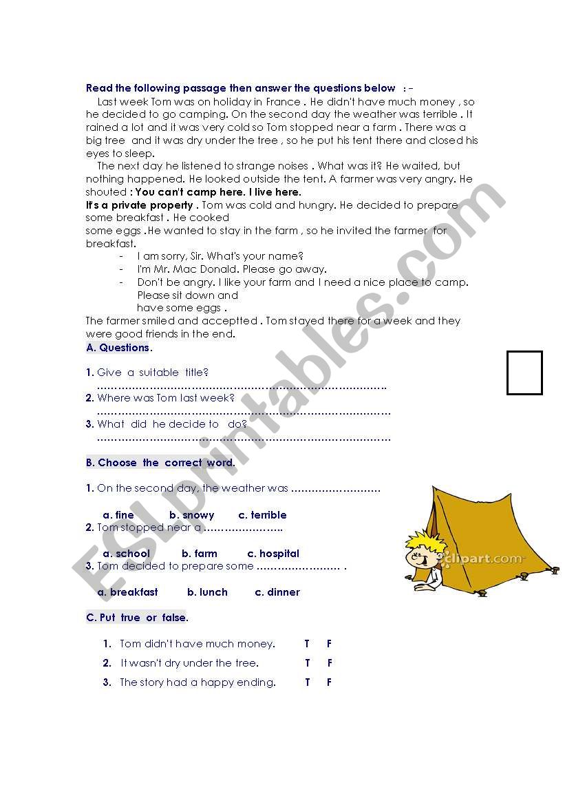 holiday in france worksheet