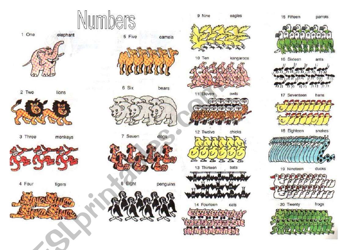 Numbers from 1 to 20 worksheet