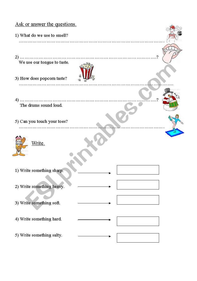 five senses worksheet