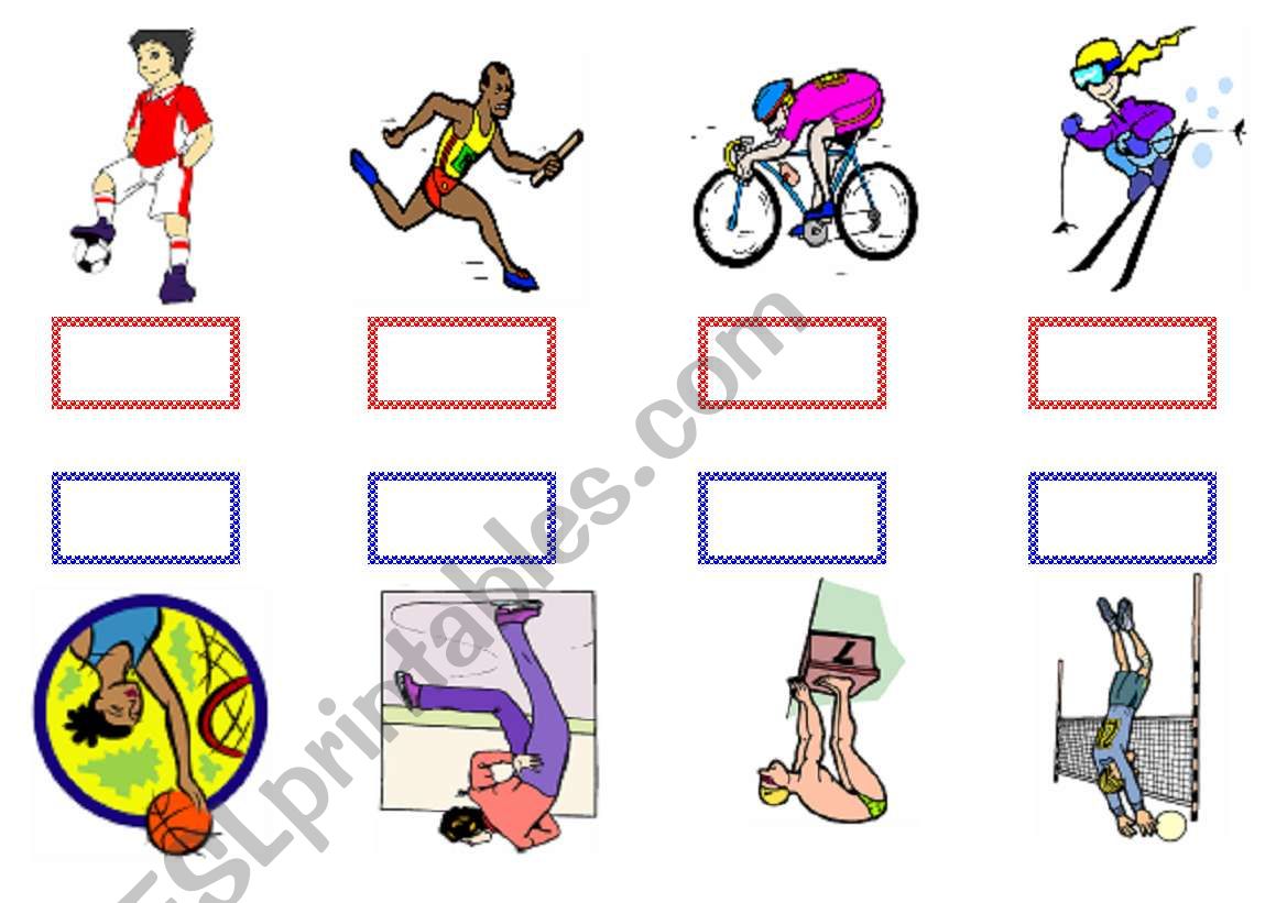 Sports  worksheet