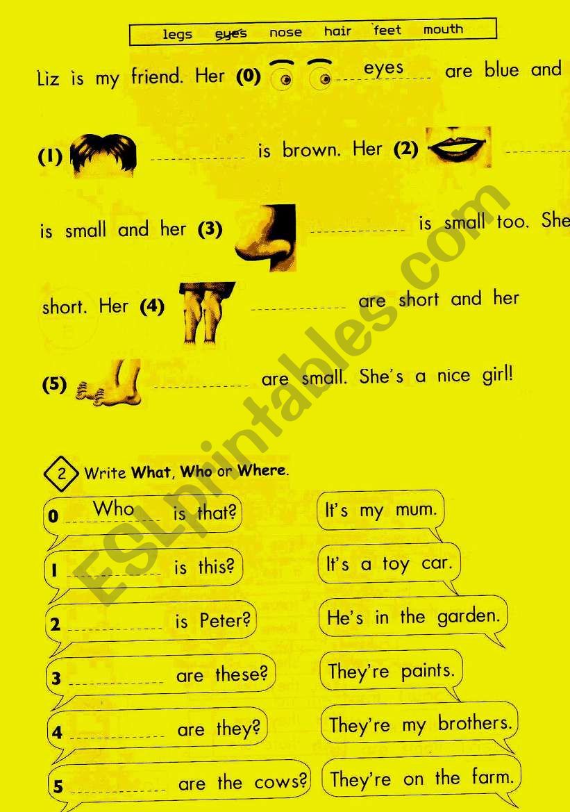 English worksheets: BODY PARTS -FILL IN THE BLANKS