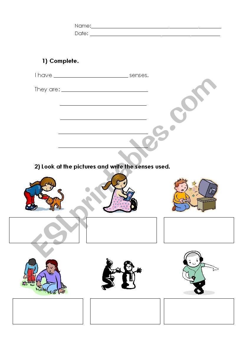 5 senses worksheet