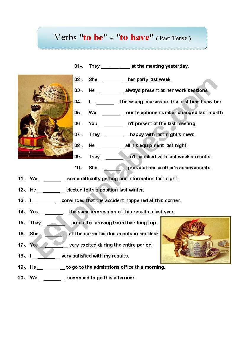 Verb to have and to be worksheet