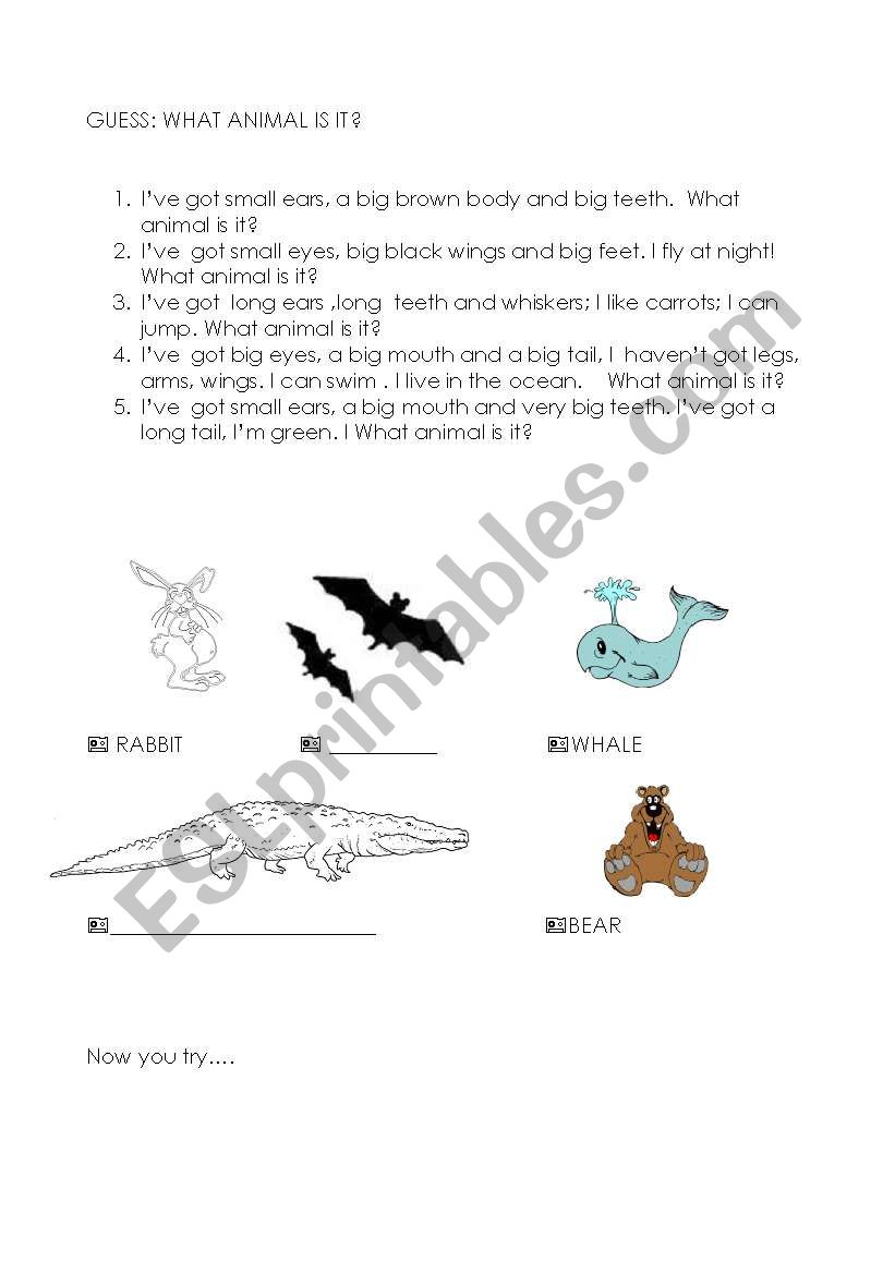 guess the animal worksheet