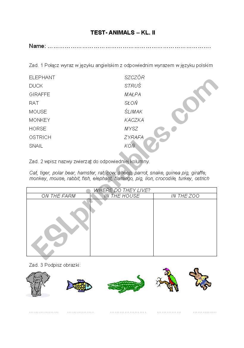 Animals worksheet