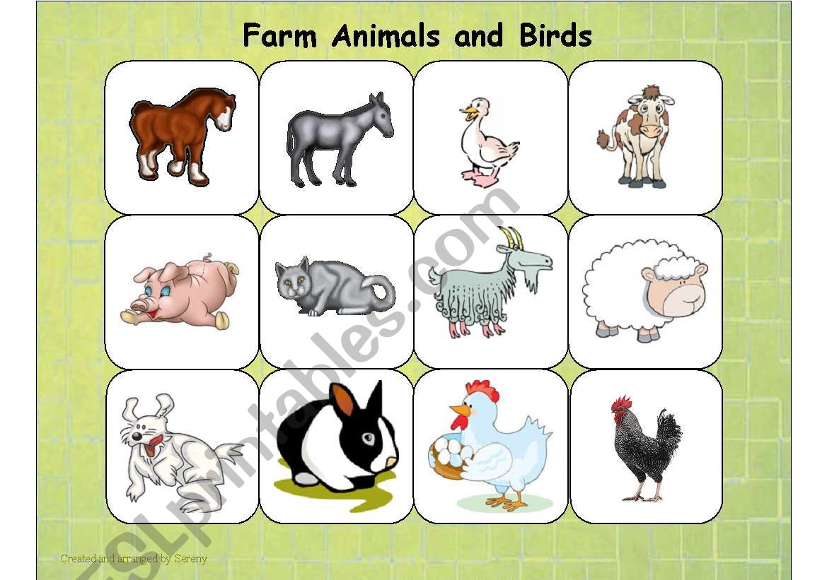 Farm Animals and Birds worksheet