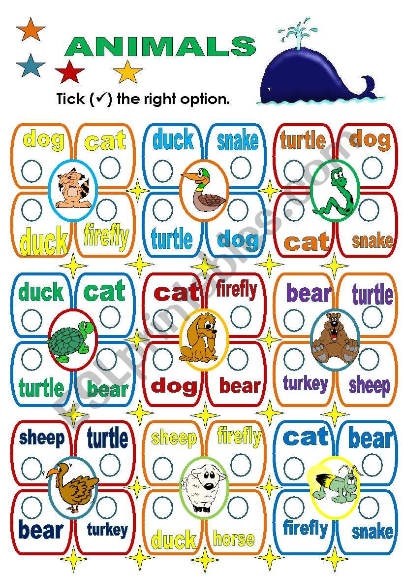 ANIMALS worksheet