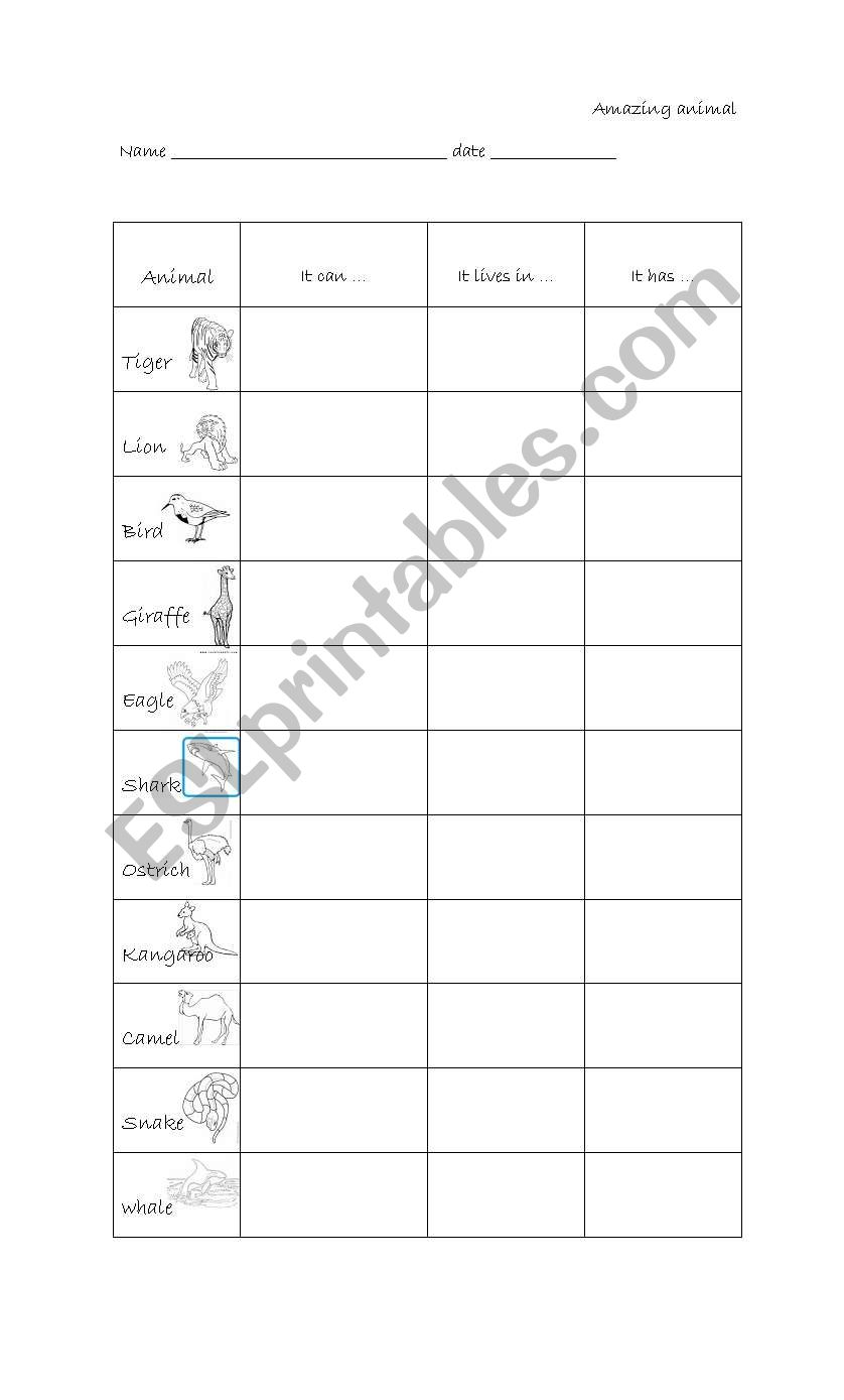 AMAZING ANIMALS worksheet