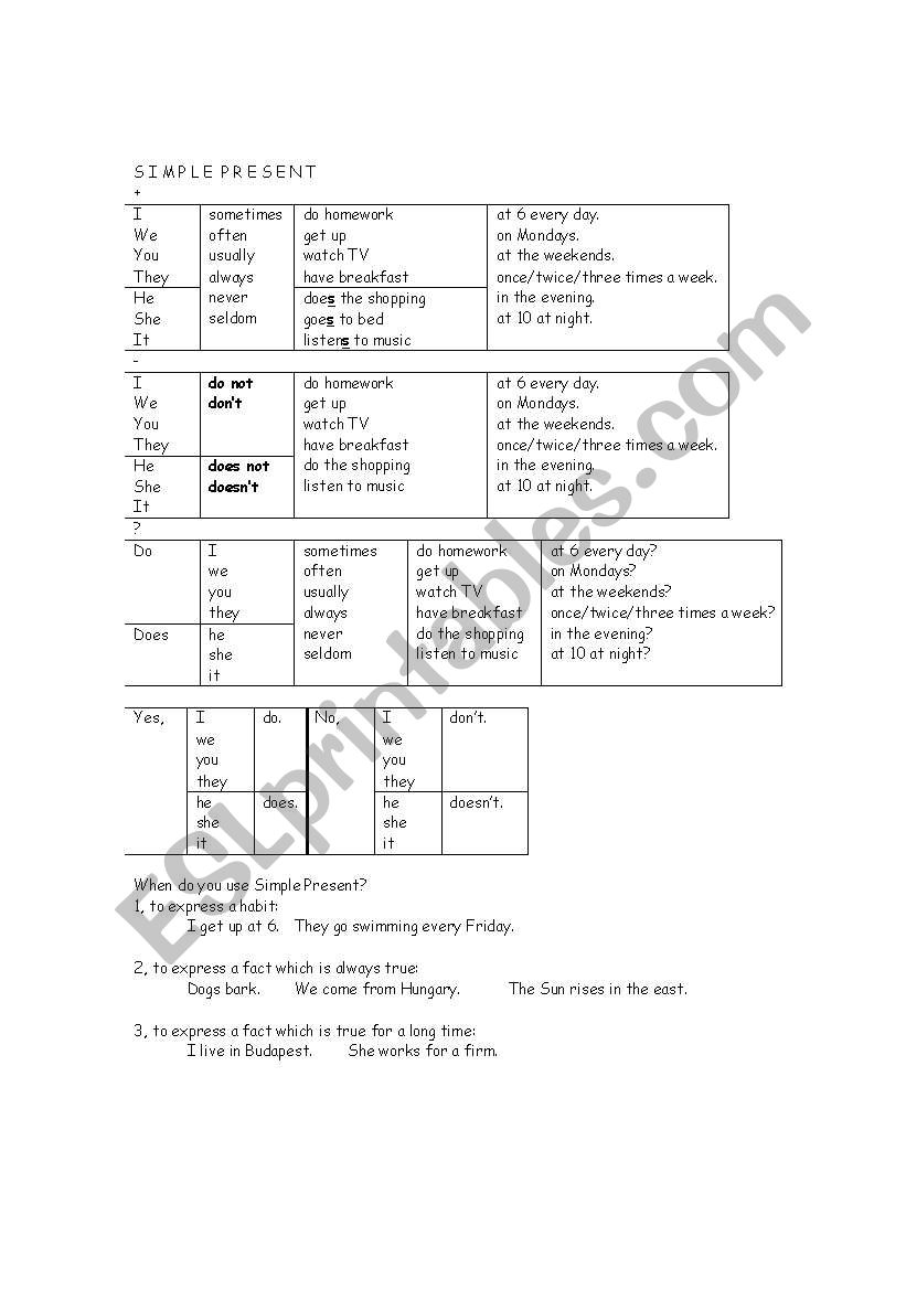 Simple Present  worksheet