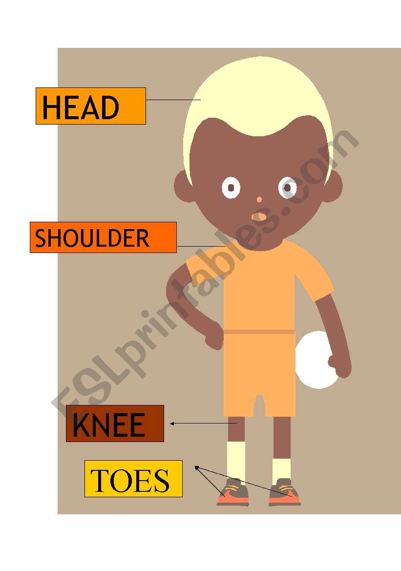 head-shoulder-knee-toes worksheet